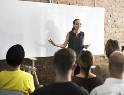 User Requirements for Stability Training